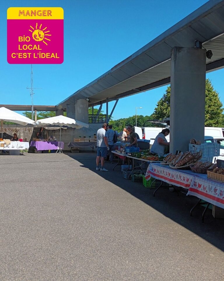 Article - biofestif Volvic (6)