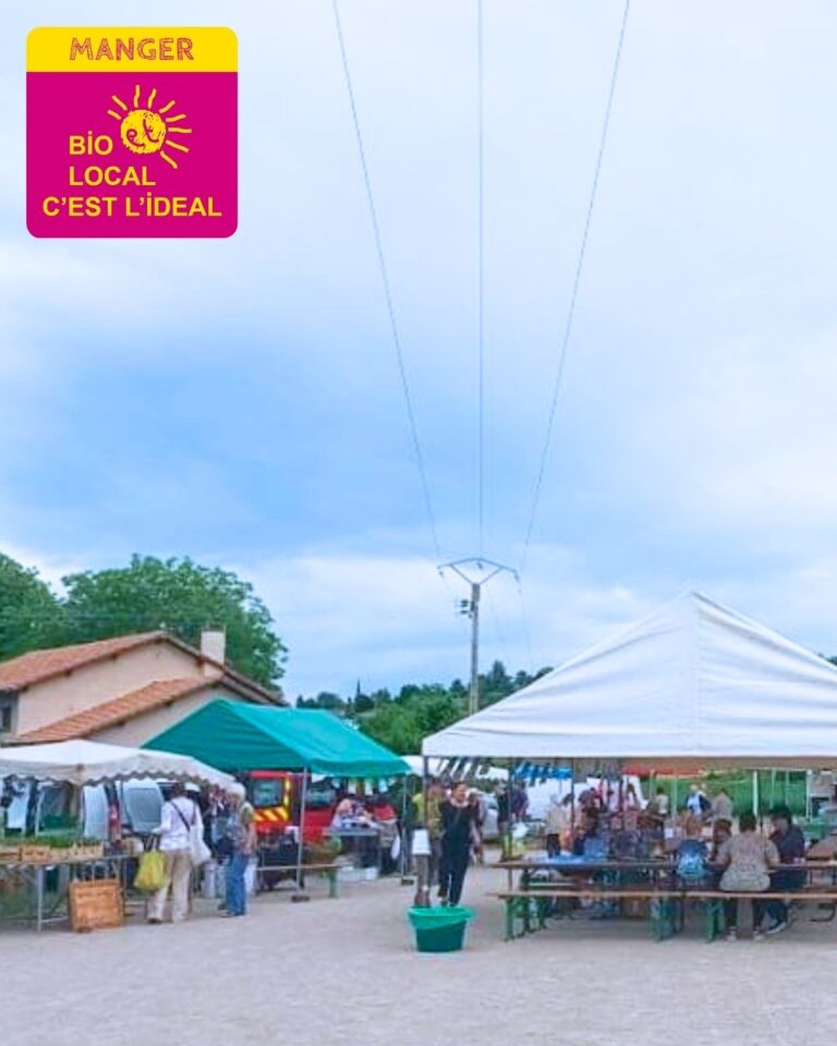 Article - biofestif orcet (7)