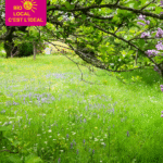 Article - Les Jardins Gourmands