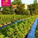 Article - Les Jardins Gourmands (2)