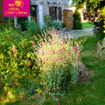 Article - Les Jardins Gourmands (4)