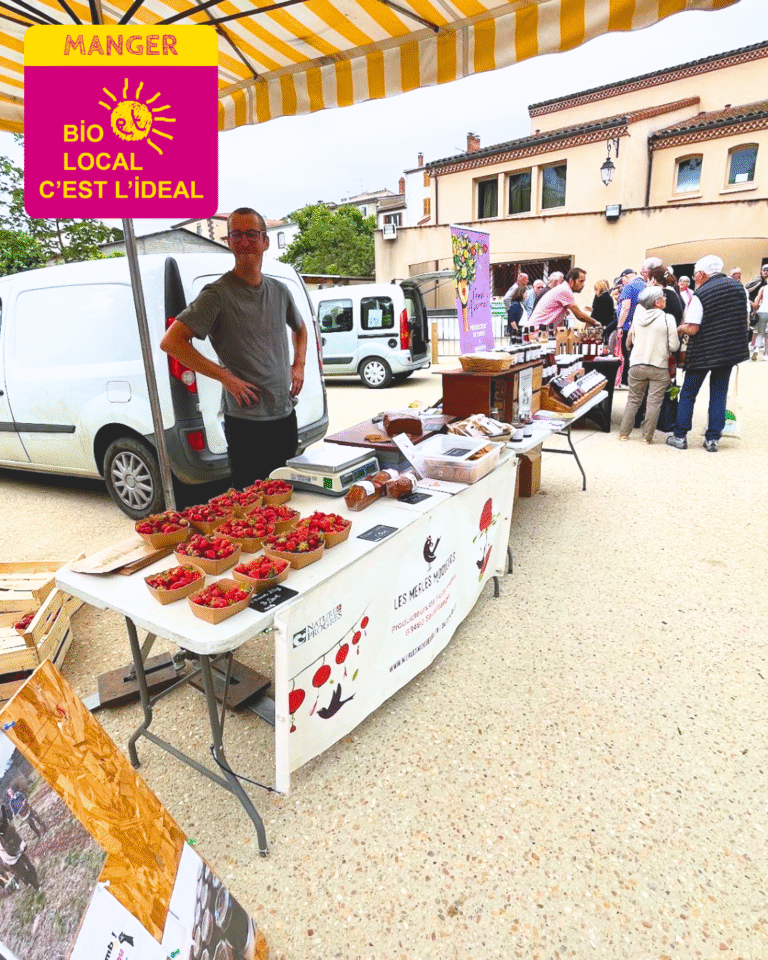 Article - Les Merles Moqueurs (5)
