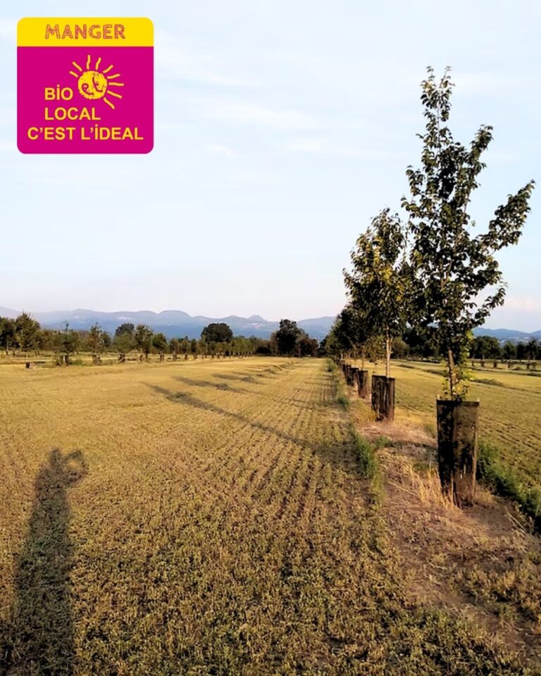 Article - ferme des raux